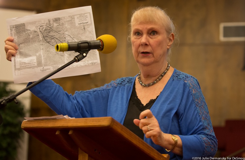 Wilma Subra speaks at a community meeting