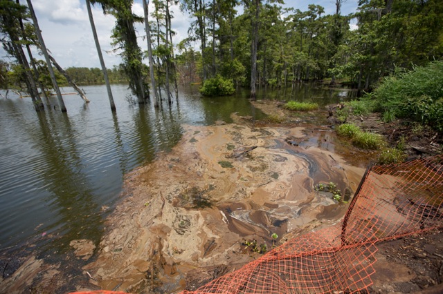 Julie Dermansky sinkhole oil and debris