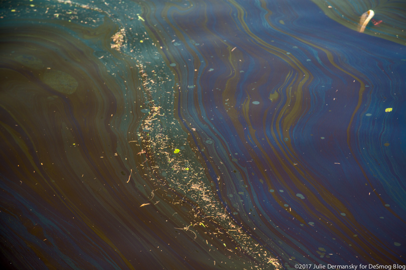 Oil slick floats on the surface of Hurricane Harvey floodwaters in Houston