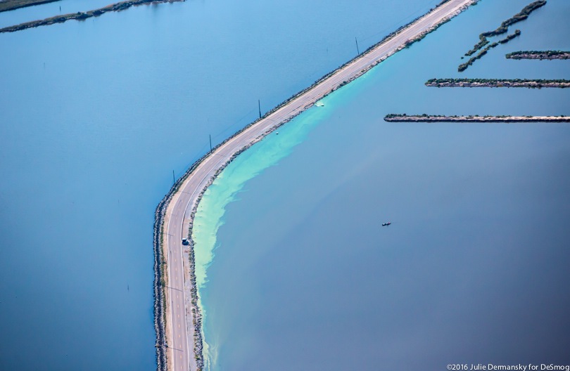 A green algae bloom along Island Road in Terrebonne Parish, Louisiana.