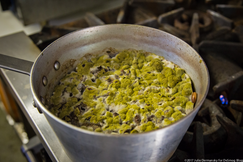 Moldy pot of beans in Kelley's Kitchen