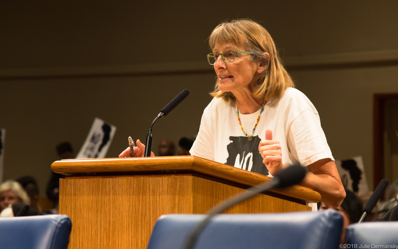 Renate Heurich of 350 New Orleans testifying against Entergy's natural gas plant