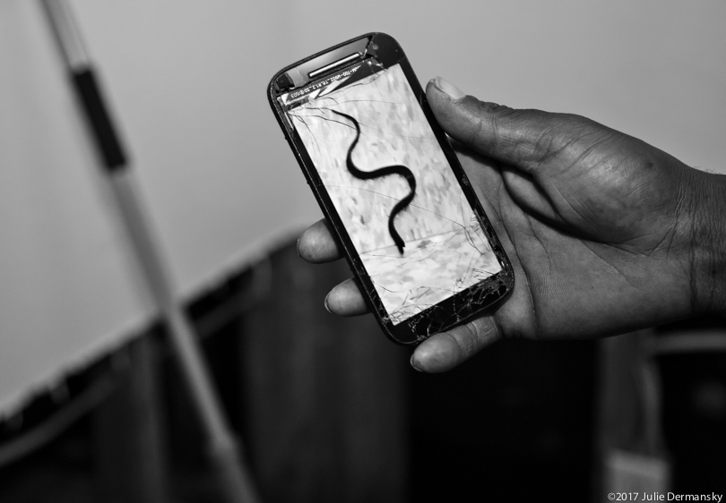 Cell phone photo of a snake Lionel Junior found in his apartment after Hurricane Harvey