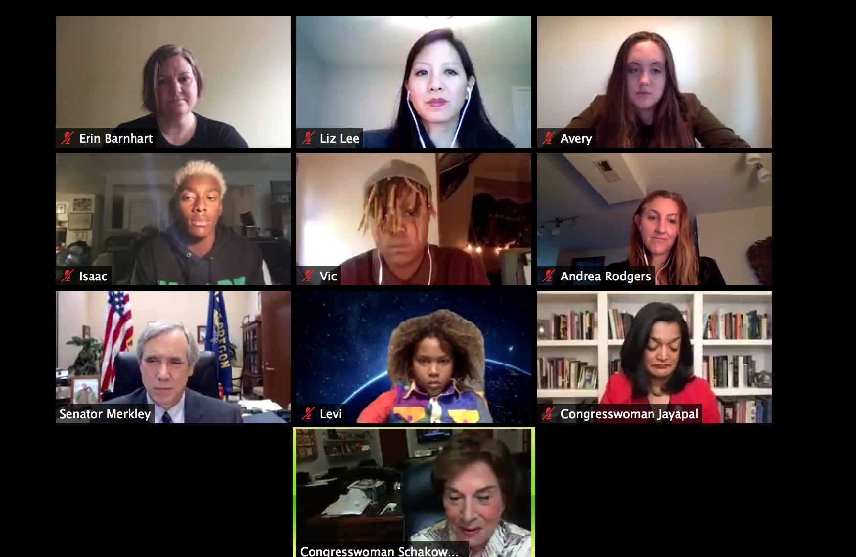 screen shot of Zoom panel on Congress and climate accountability lawsuits