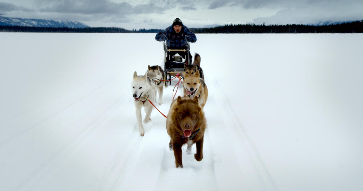 Sled dogging in Koneline