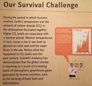 The one accurate portrayal of human-caused climate change in the Smithsonian's Koch-funded exhibit.