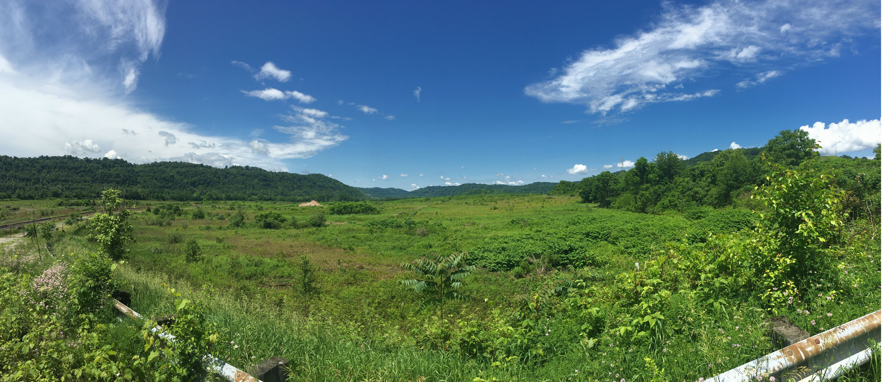The field on the banks of the Ohio River where PTT Global Chemical is considering building a second ethane cracker 
