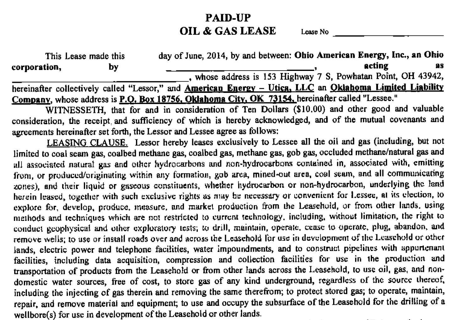 McClendon American Energy Partners Lease