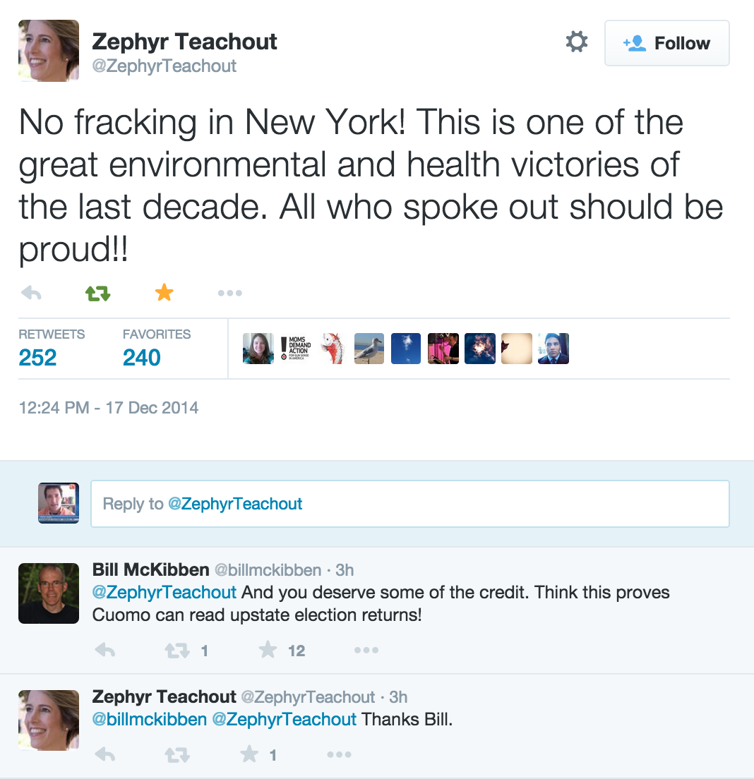 Zephyr Teachout New York Fracking Ban
