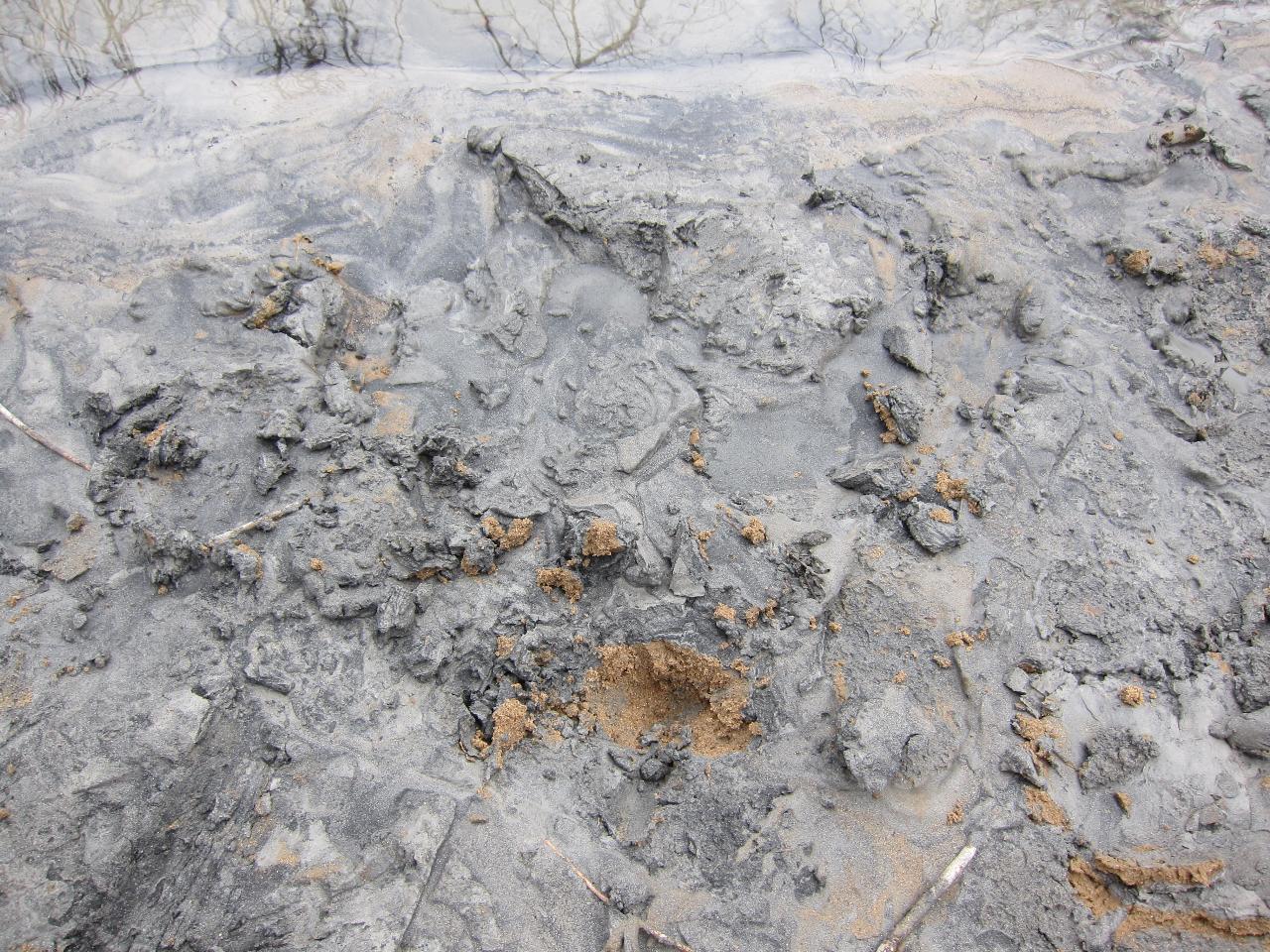 Coal tar residual along the shore of the Dan River after the coal ash impoundment collasped at a Duke power plant in Eden, North Carolina.