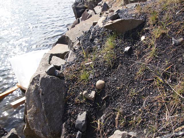 Coal on the banks of the Columbia River. 