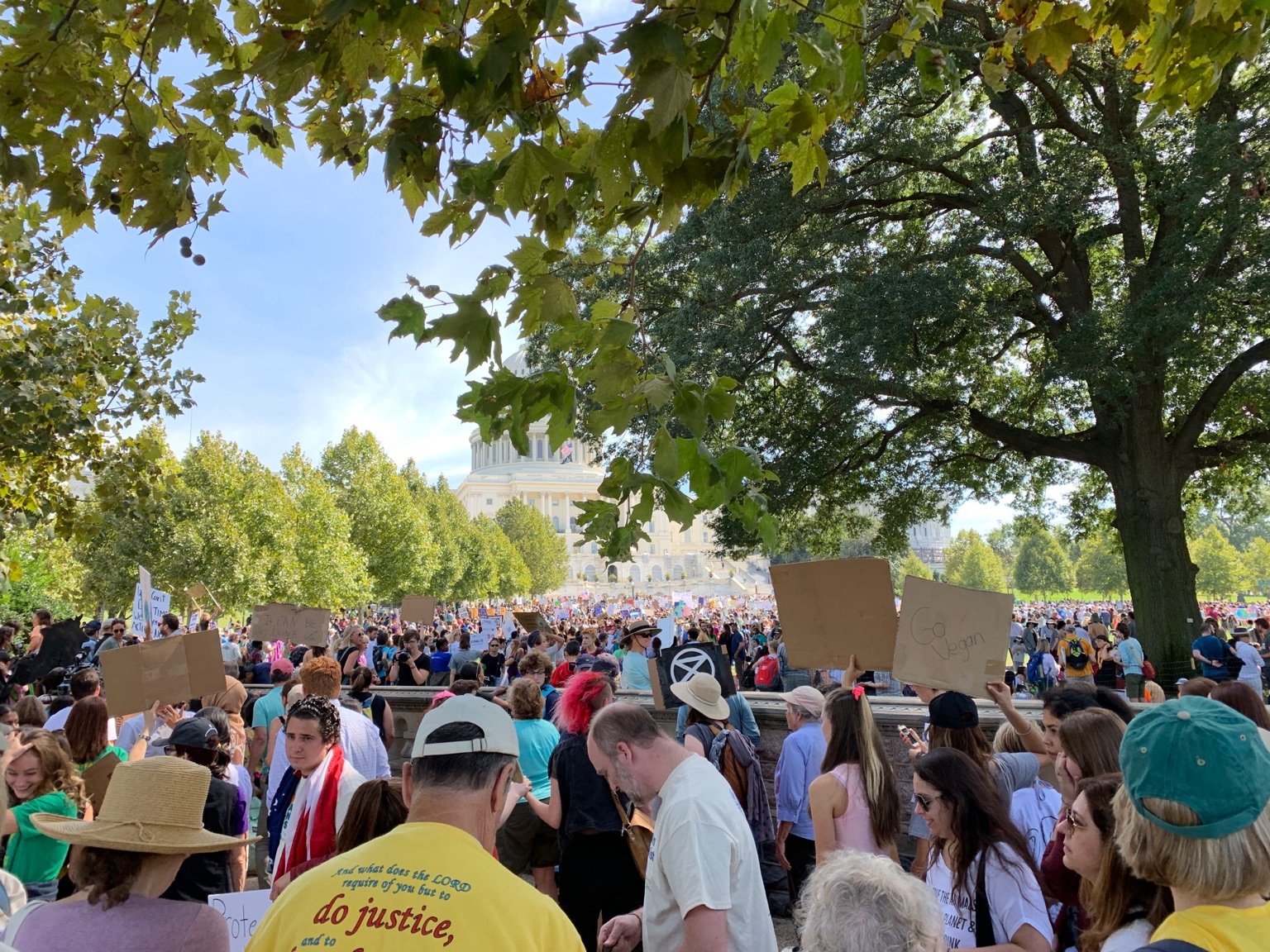 DC Capitol Building climate strike