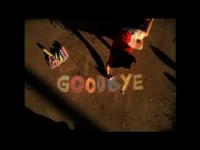 Goodbye - ACCCE "Adios" ad still