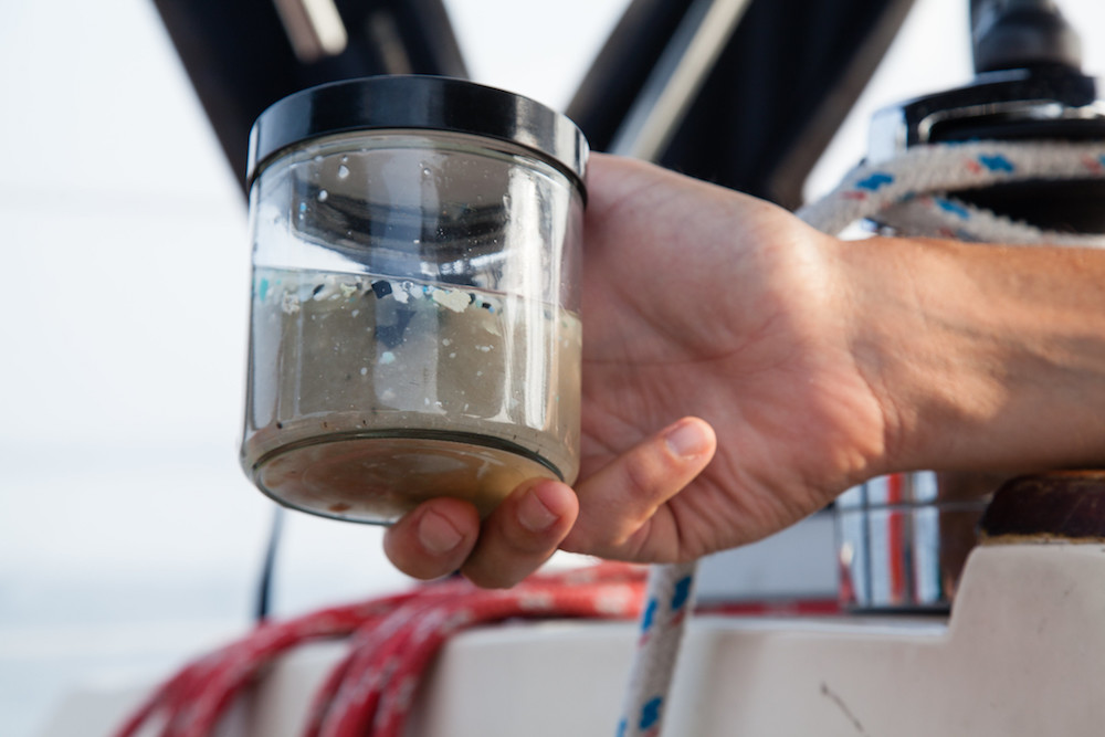 Microplastics in an ocean water sample