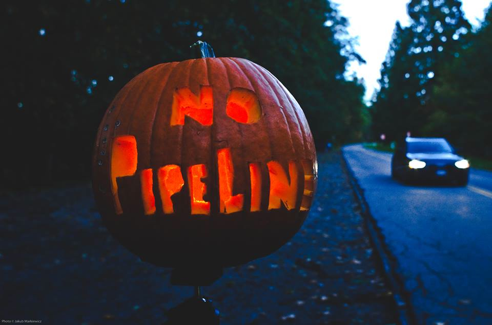 no pipelines pumpkin